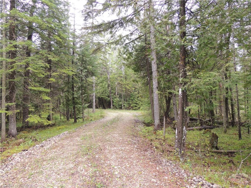 348305 4th Concession B, Grey Highlands, ON, Rural Grey Highlands