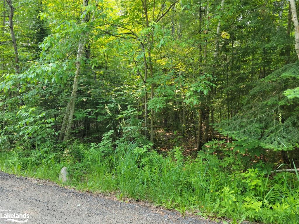 29 Mount Vernon Trail, Huntsville, ON, 