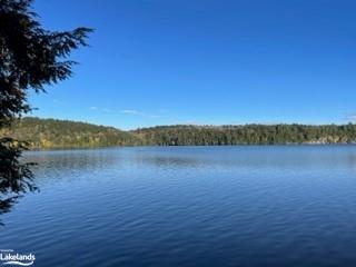 1440-5 West Oxbow Lake Road, Lake Of Bays, ON, 