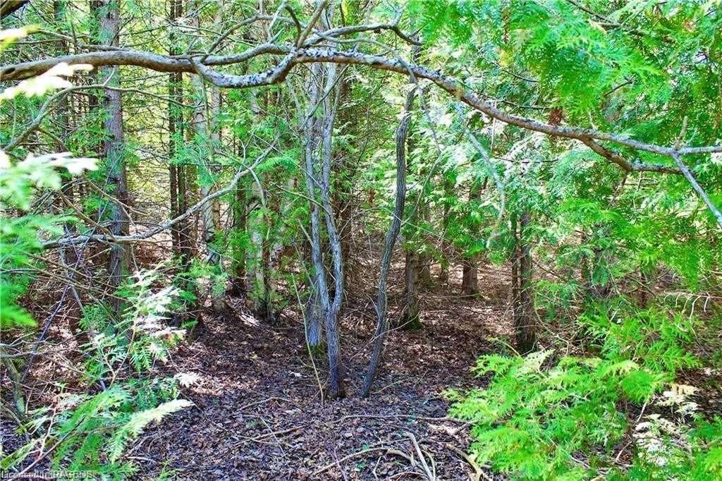 LOT 43 Maple Golf Crescent, Northern Bruce Peninsula, ON, 