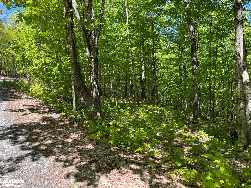 LOT 40 Sunset Ridge, Huntsville, ON, 