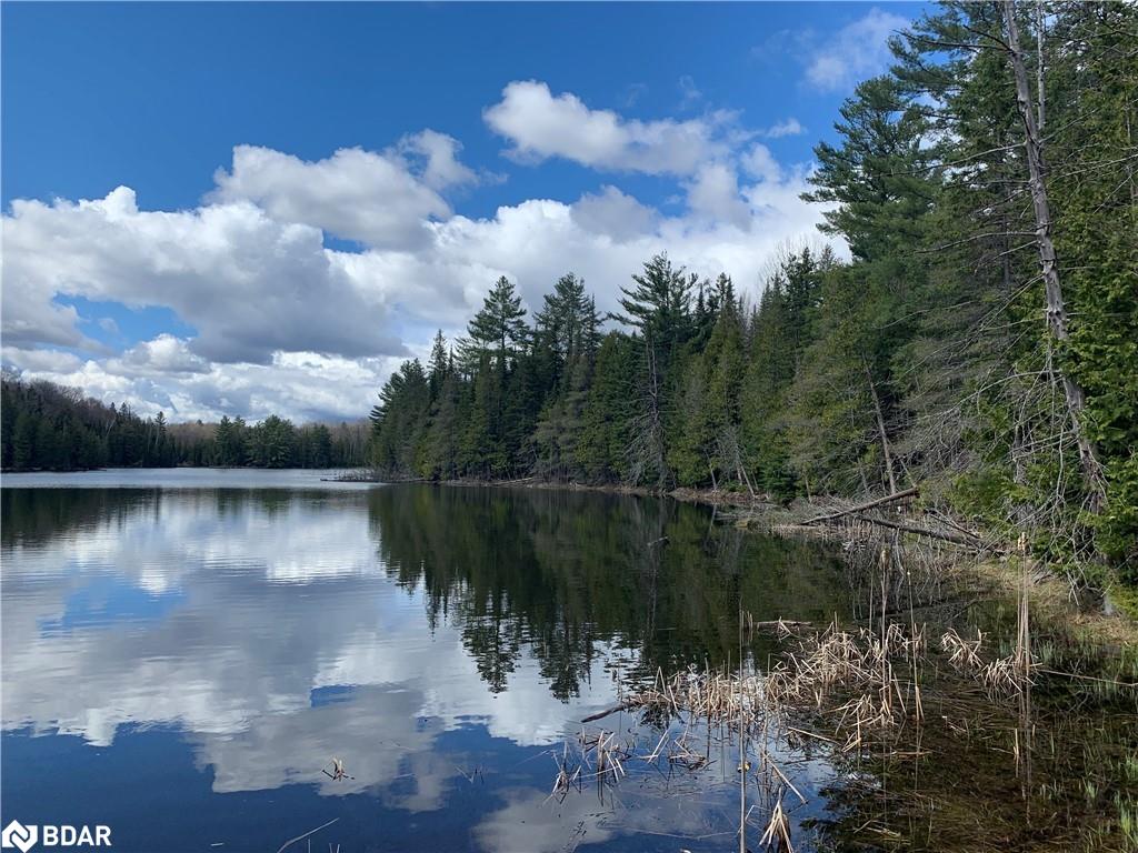 0 Johnson Road, North Kawartha, ON, Rural North Kawartha