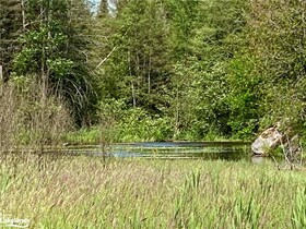 LOT B Legrou's Lake Road, Parry Sound, ON , MLS #40574713 , Image - 1