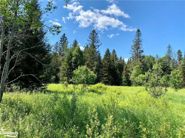 0 Concession Road 10 And 11, , ON, 