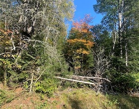 0 So Ho Mish Road, Parry Sound, ON , MLS #40652240 , Image - 1