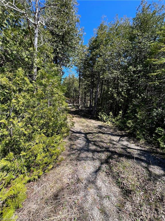 LOT 32 CON 3 Highway 6, South Bruce Peninsula, ON, 