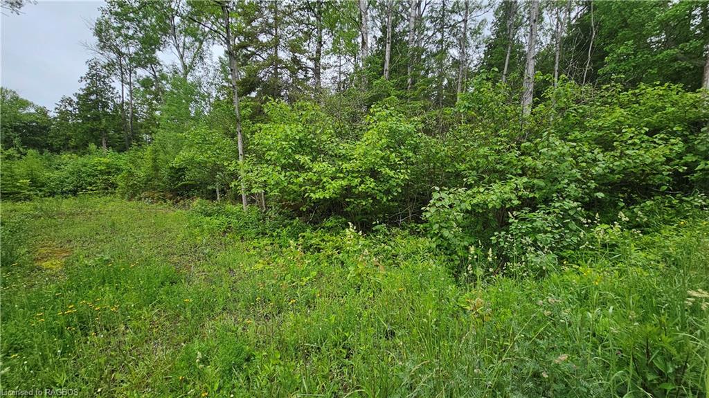 PT LT 35 Hardwick Cove Road, Northern Bruce Peninsula, ON, 