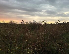 N/A Spring Creek Road, Niagara, ON , MLS #40642370 , Image - 1