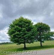 29904 West Bothwell Road, Chatham-Kent, ON