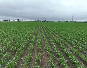 PT LT 19, CON 1 White Road, Chatham-Kent, ON , MLS #40571874 , Image - 1