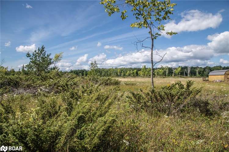 LOT 250 Mcguire Beach Road, Kawartha Lakes, ON, Rural Carden