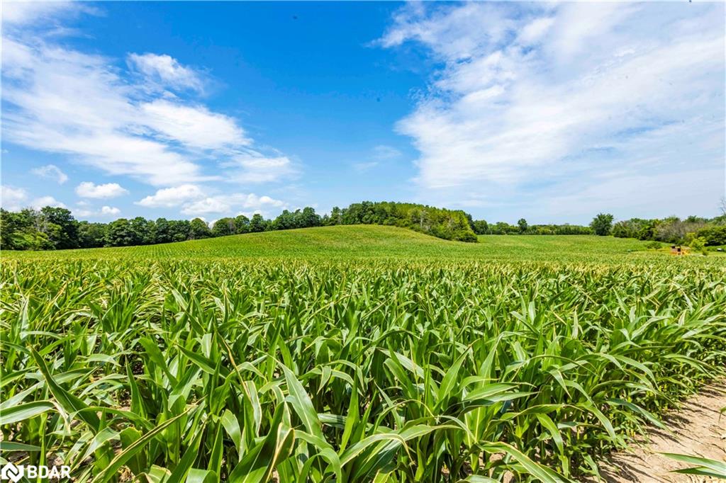 00 Smylie Road, Hamilton Township, ON, Rural Hamilton