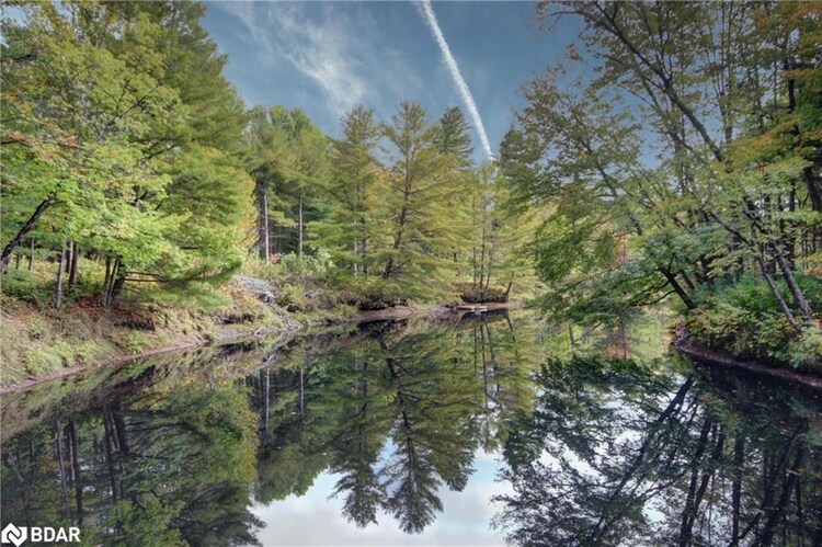 54 Black River Road, Kawartha Lakes, ON, Rural Dalton