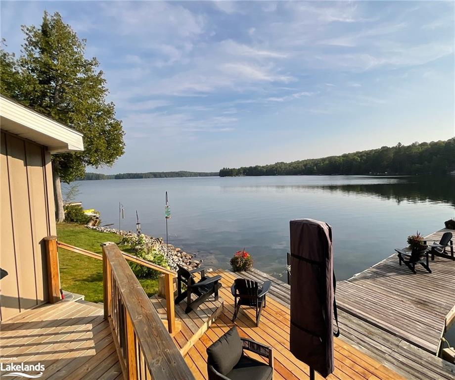 1433 South Horn Lake Road, Ryerson, ON, 