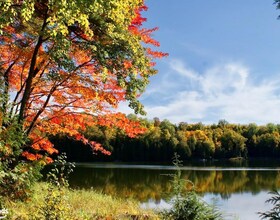 0 Highway 35, Haliburton, ON , MLS #40503297 , Image - 1