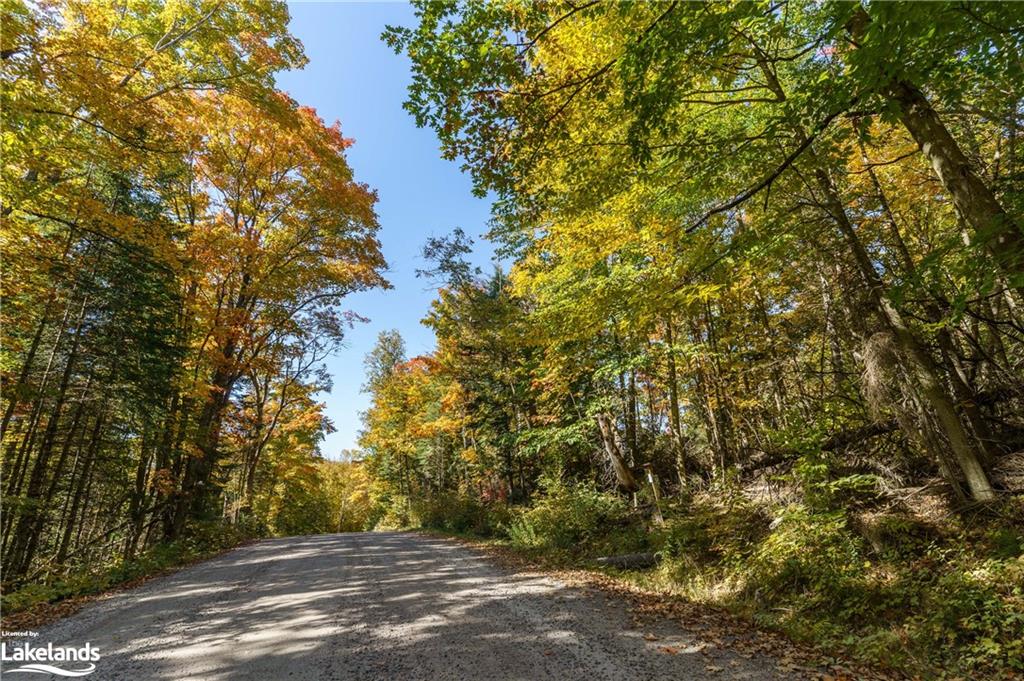 LOT 1 Dwight Beach Road, Lake Of Bays, ON, 