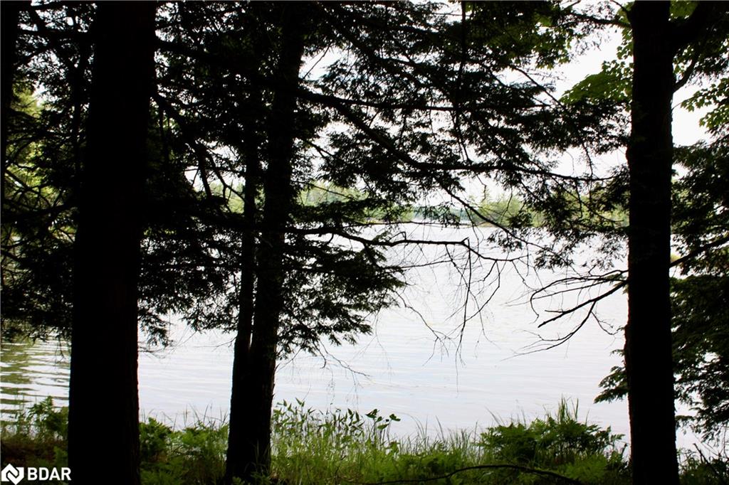 0-WAO Kasshabog Lake, Havelock-Belmont-Methuen, ON, Rural Havelock-Belmont-Methuen