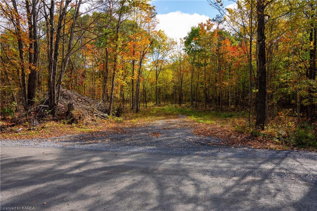 PT LOTS 12 & 13 Devil Lake Road, South Frontenac, ON, 