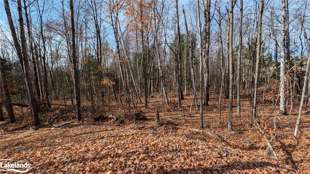 LOT 1 Tally Ho Winter Park Road, Lake Of Bays, ON, 