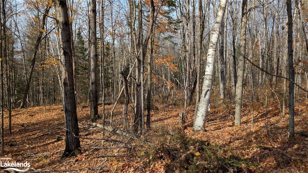 LOT 2 Tally Ho Winter Park Road, Lake Of Bays, ON, 