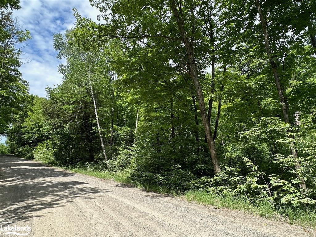 LOT 2 Dwight Beach Road, Lake Of Bays, ON, 