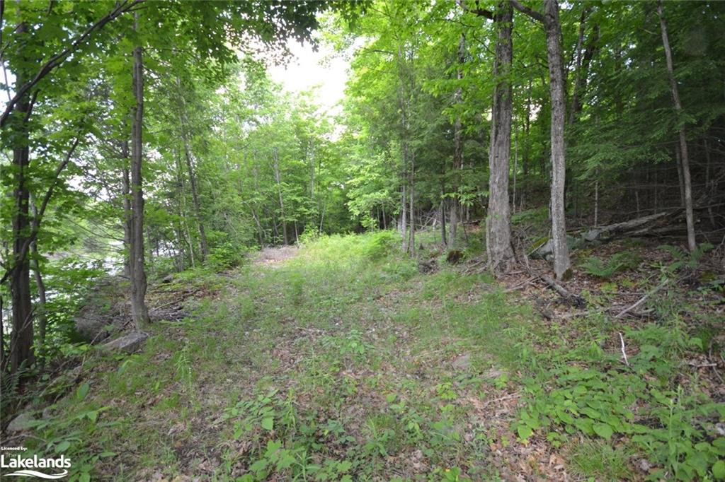 0 County Road 21, Minden Hills, ON, 