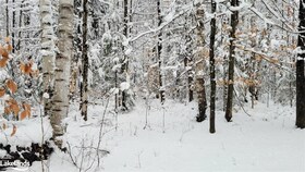 551 White House Road, Muskoka, ON , MLS #40681229 , Image - 1