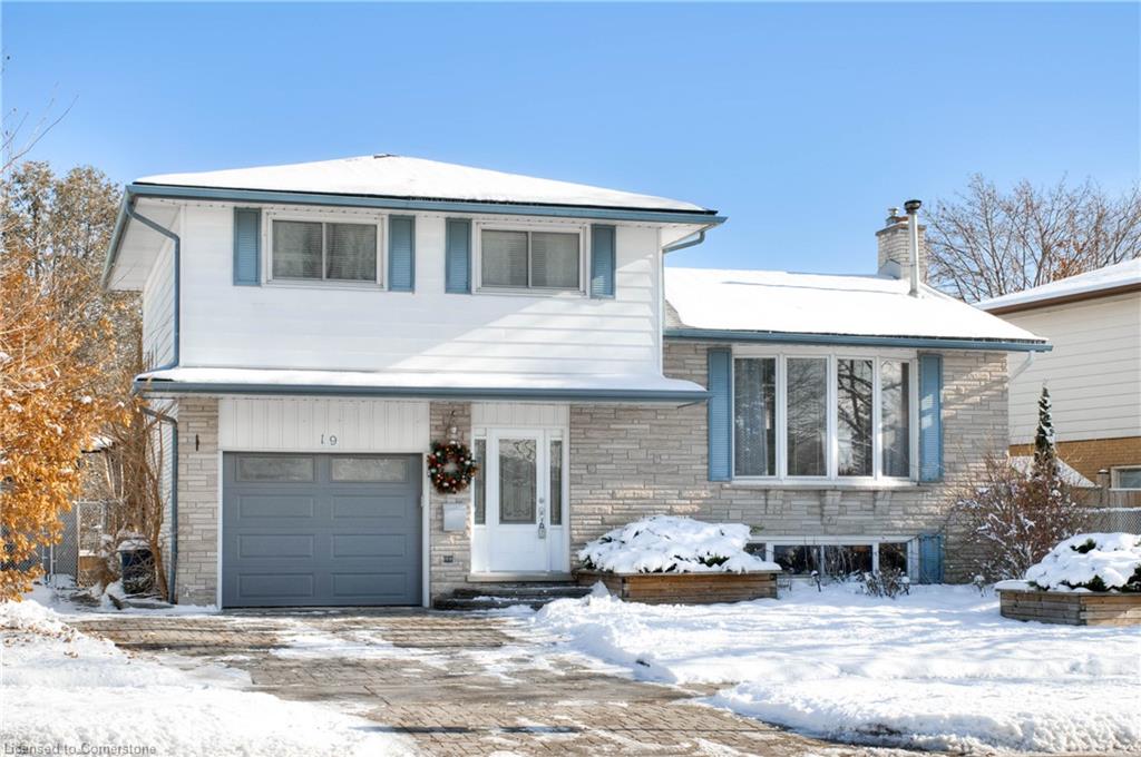 19 Halifax Drive, Kitchener, ON, 