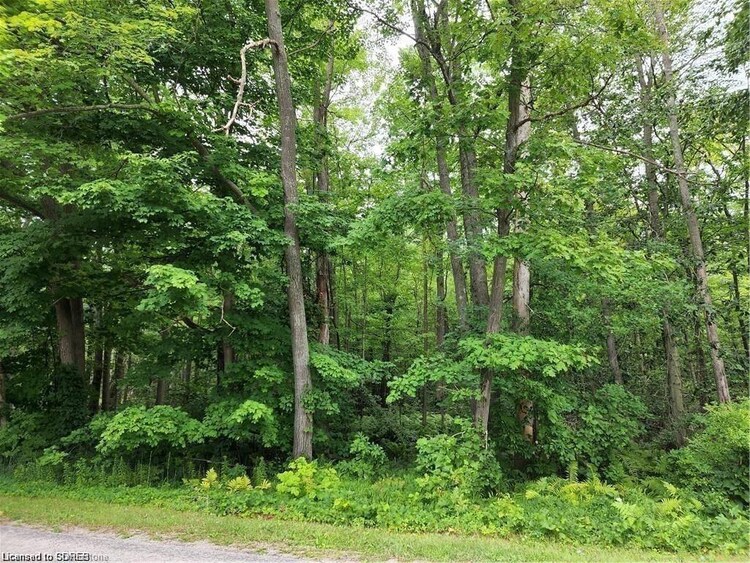 PT LOT 20 7 Concession, Norfolk County, ON, 