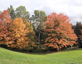 535 Myrtle Road W, Durham, ON , MLS #E12702842 , Image - 1