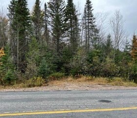 0 534 Highway, Parry Sound, ON