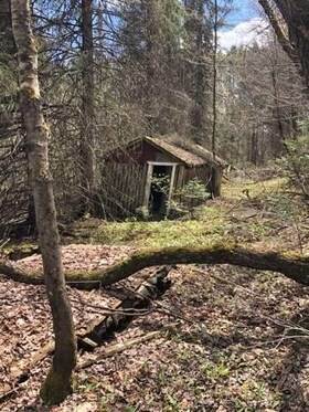 2595 Etwell Road, Muskoka, ON , MLS #X12521014 , Image - 1