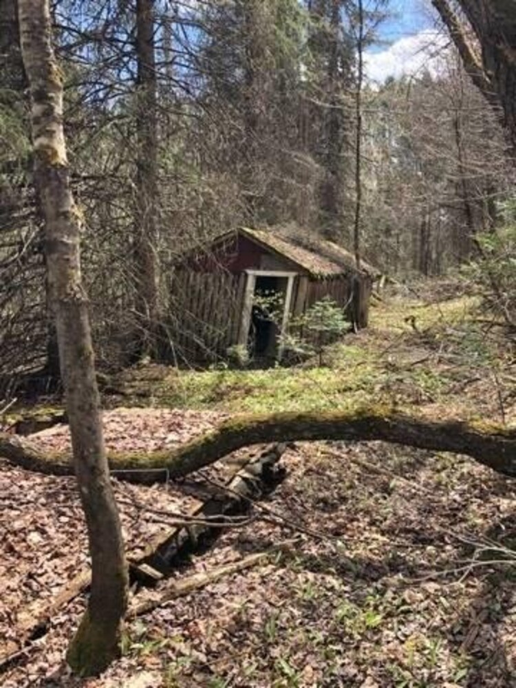 2595 Etwell Road, Huntsville, ON, Stisted