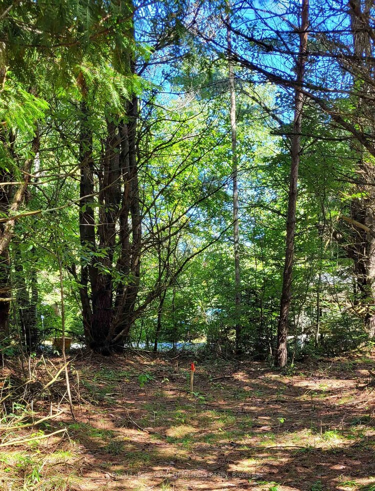 1059 Ablett Court, Algonquin Highlands, ON, Stanhope