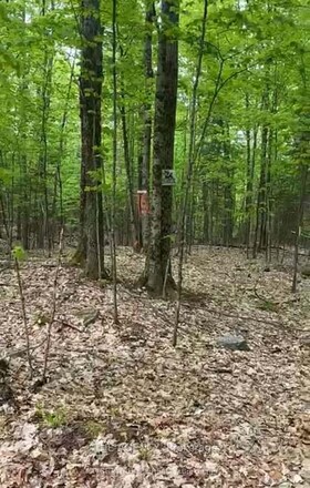 Lot 22 Select Trail, Haliburton, ON , MLS #X12012068 , Image - 1