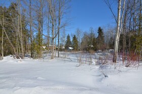 3635 Kimberley Street, Simcoe, ON , MLS #N12505304 , Image - 1