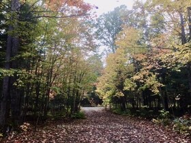 0 Pilgers Road, Parry Sound, ON , MLS #X12296408 , Image - 1