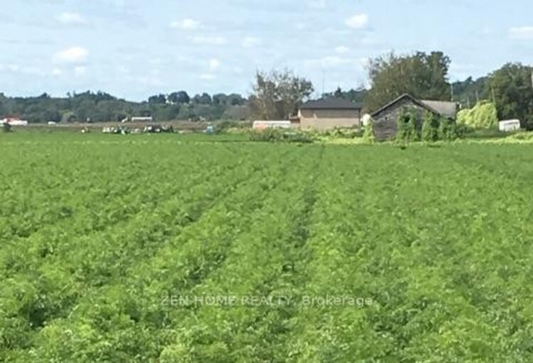 303 Devald Road, Bradford West Gwillimbury, ON, Rural Bradford West Gwillimbury