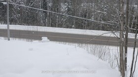 22382 Highway 35 Highway, Muskoka, ON , MLS #X12383818 , Image - 1