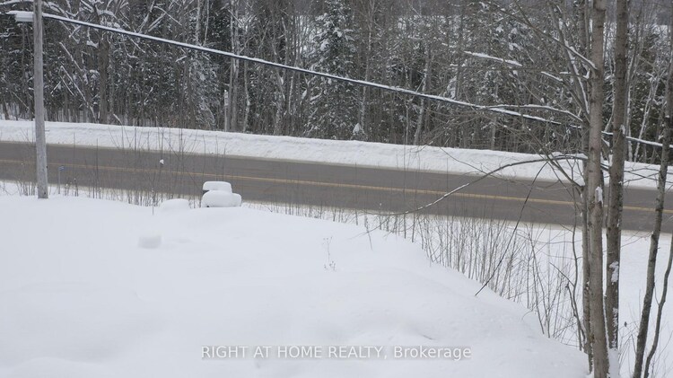 22382 Highway 35 Highway, Lake of Bays, ON, Ridout