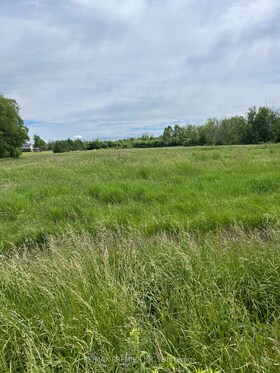 N/A Highway 48 N/A, York, ON , MLS #N12329288 , Image - 1