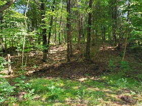 0 Beaver Mdws Road, Leeds and Grenvi, ON , MLS #X11975671 , Image - 1