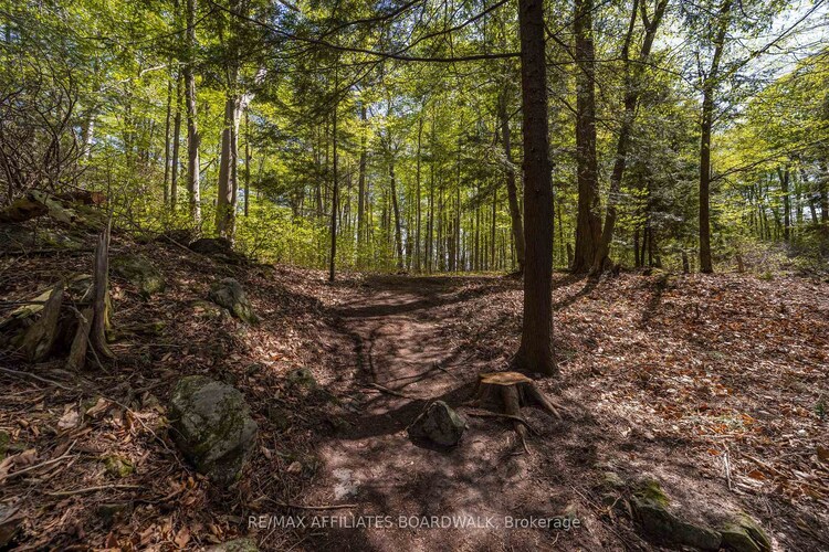 3 Sand Island N/A, Rideau Lakes, ON, 819 - Rideau Lakes (South Burgess) Twp