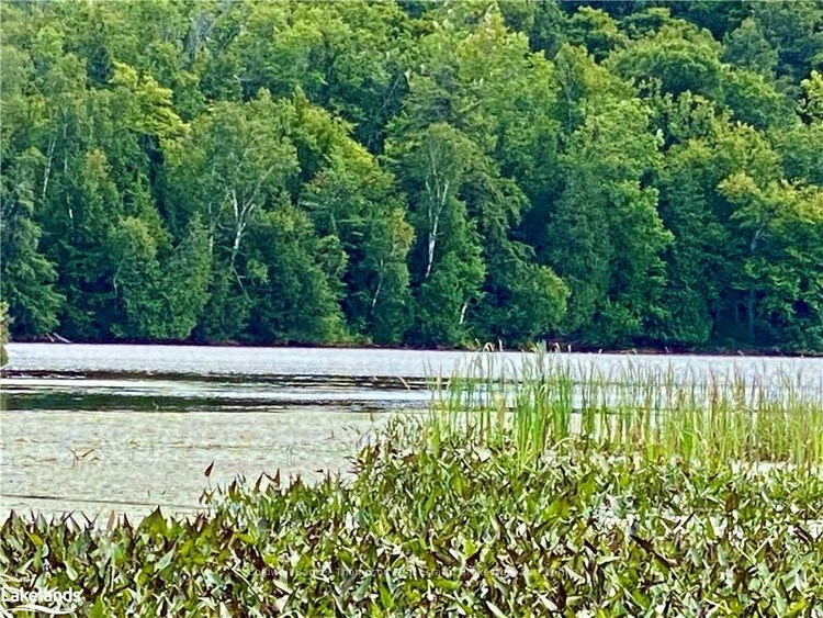 151 MAPLE Drive, Parry Sound Remote Area, ON, Wilson