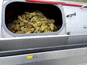 3756 Ninth Street, Niagara, ON , MLS #X12007338 , Image - 1