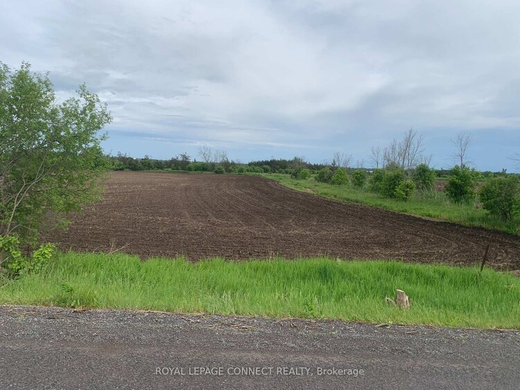 208 Drive In Road, Greater Napanee, ON, 58 - Greater Napanee