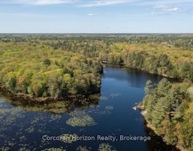 LT 14 HUNGRY BAY Road, Muskoka, ON , MLS #X12825796 , Image - 1