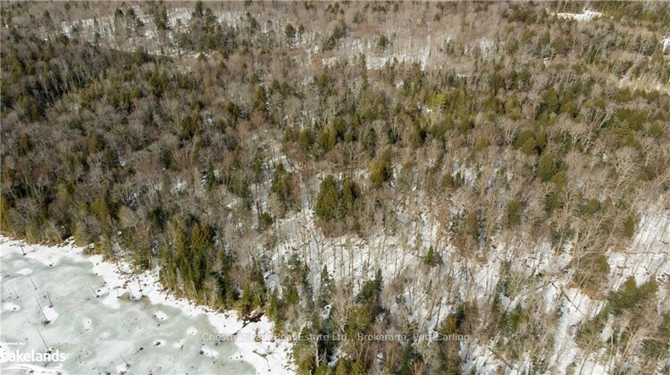 4655 ASPDIN Road, Muskoka Lakes, ON, Cardwell