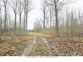 14391 County 15 Road, Leeds and Grenvi, ON , MLS #X12342776 , Image - 1