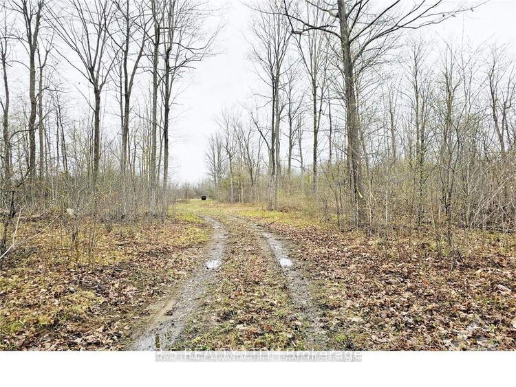 14391 County 15 Road, Merrickville-Wolford, ON, 805 - Merrickville/Wolford Twp